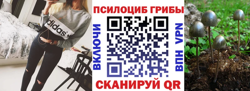 Псилоцибиновые грибы Magic Shrooms Купить где Звенигород