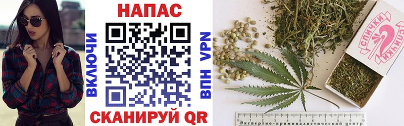 Купить где  Звенигород  Канабис SATIVA & INDICA 